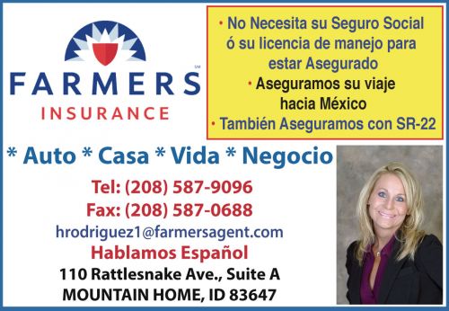 Farmers Insurance - Heidi Rodriguez Agency