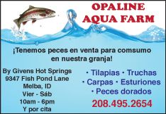 OPALINE AQUA FARM