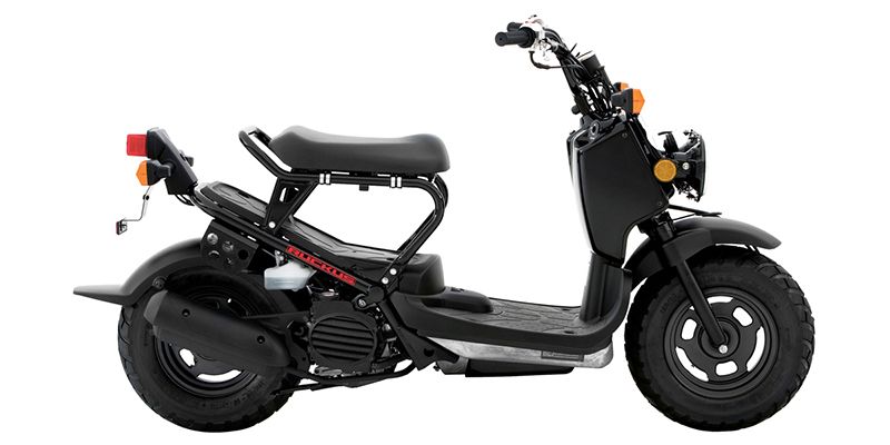 2018 -  - Ruckus - $2,699